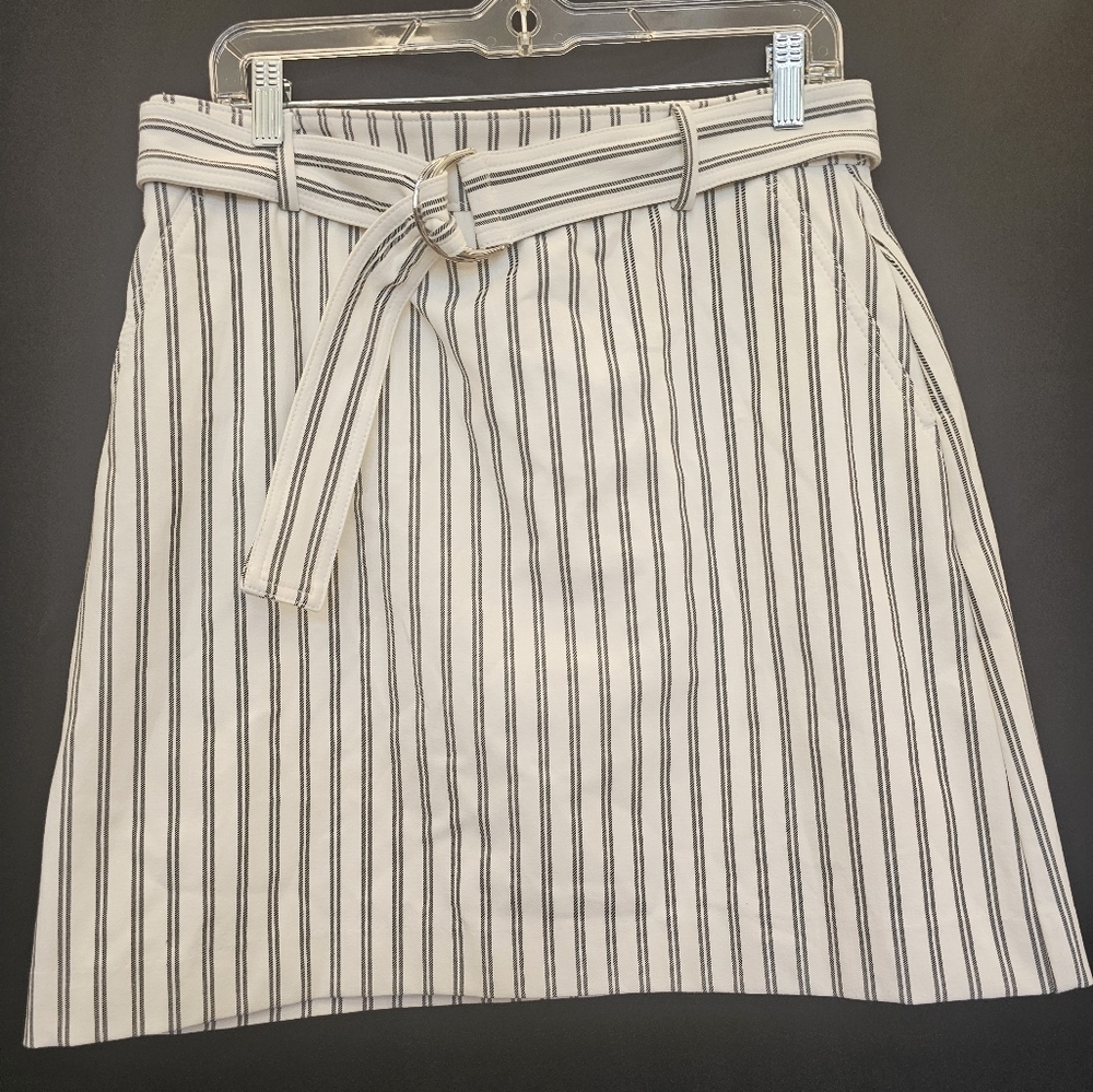 Ann Taylor, pinstripe, office, travel, vacation, casual, belt, streetwear